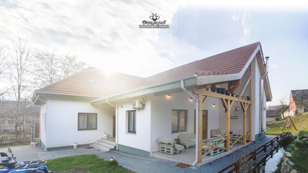 Domeniul Bondarelului Hotel Ocolisu Mic Exterior foto